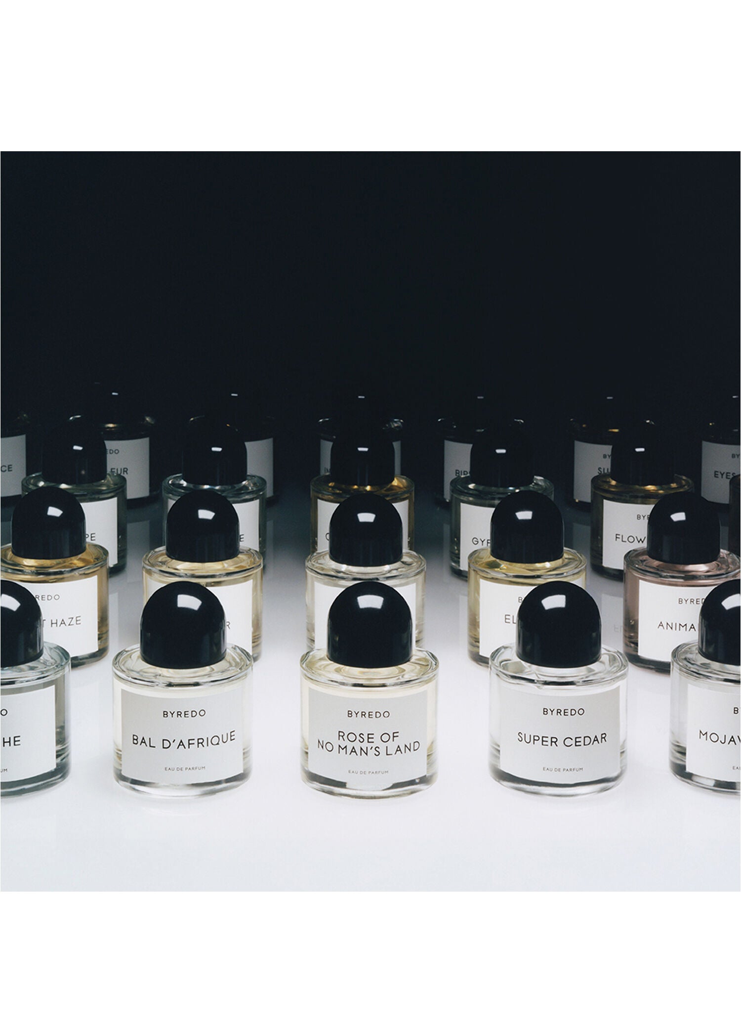 La Tulipe EDP 100 ml Kadın Parfüm
