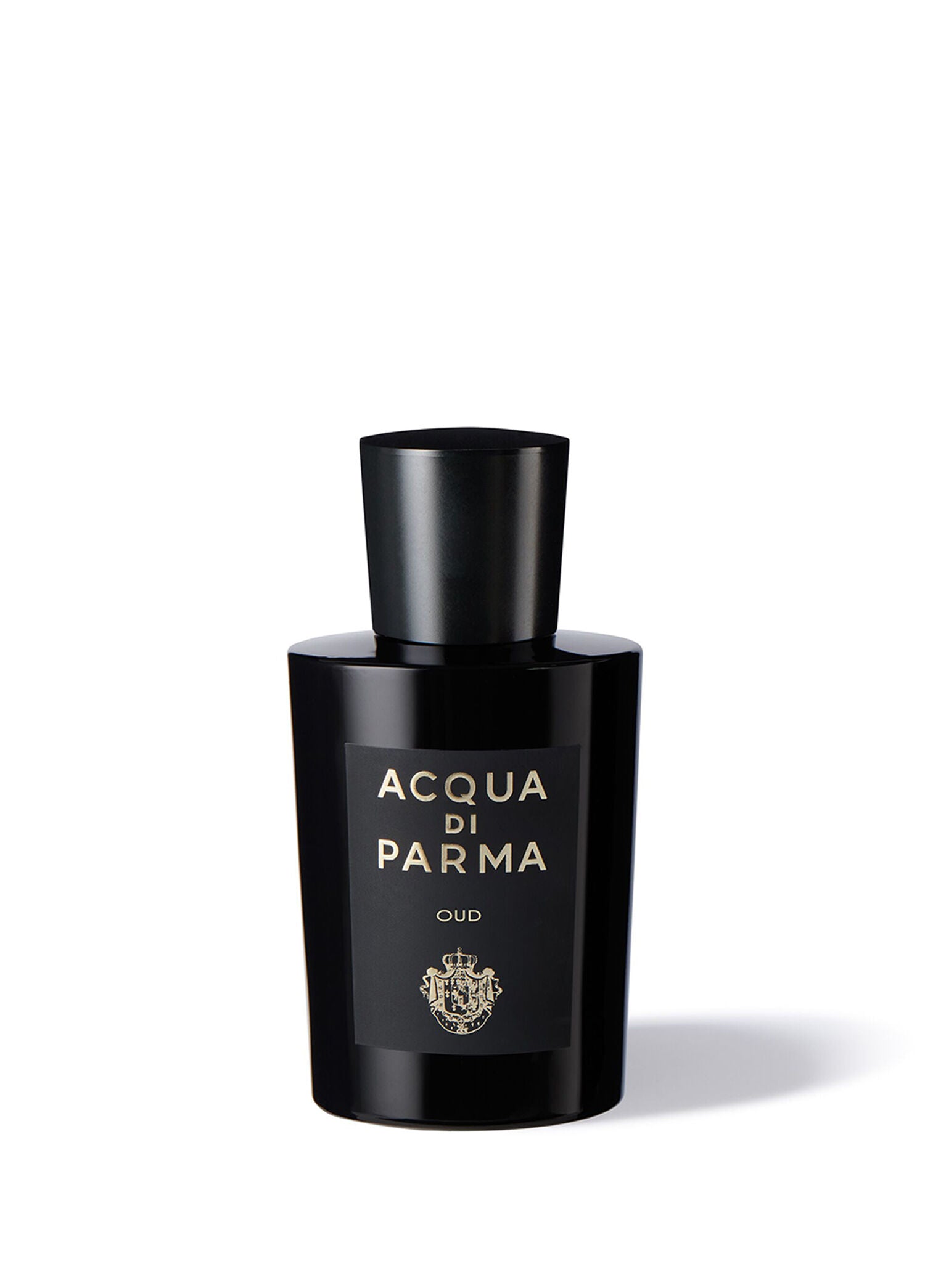 Sigrnature Oud EDP 100 ml Parfüm