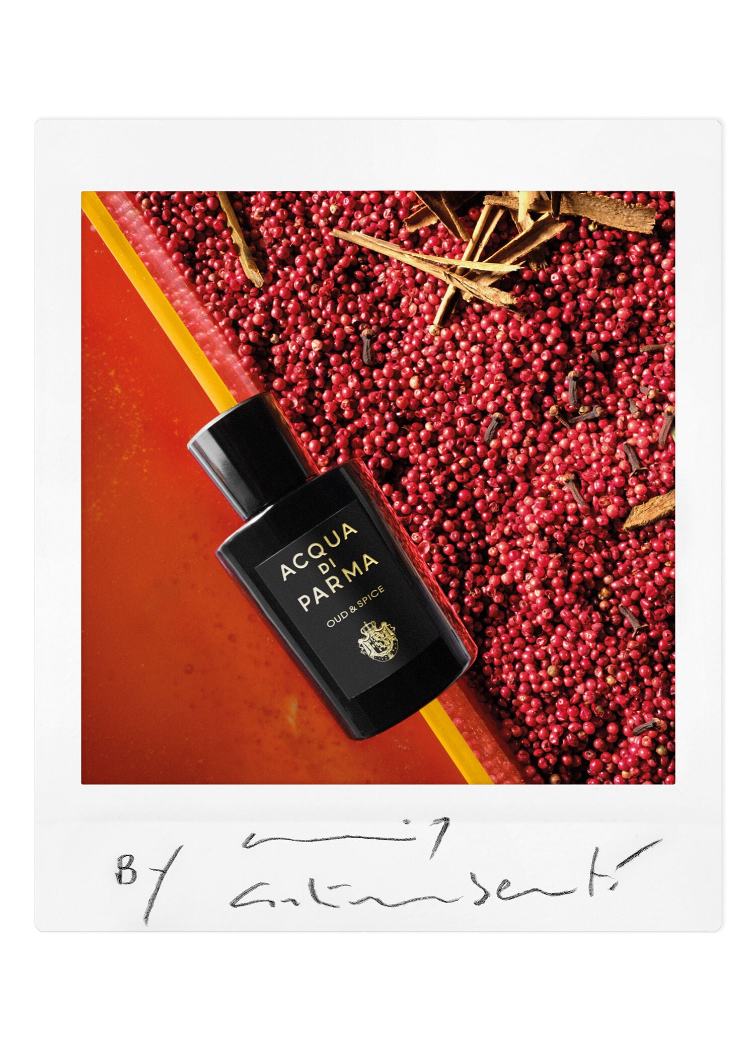 Sıgnature Oud&Spıce Edp 180 ml