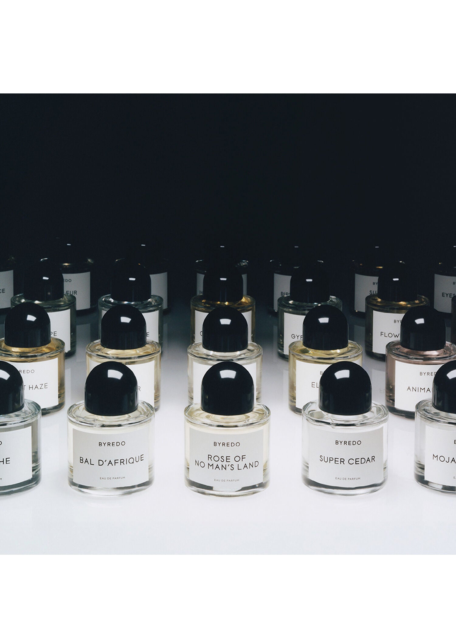 EDP Mumbai Noise 100ml