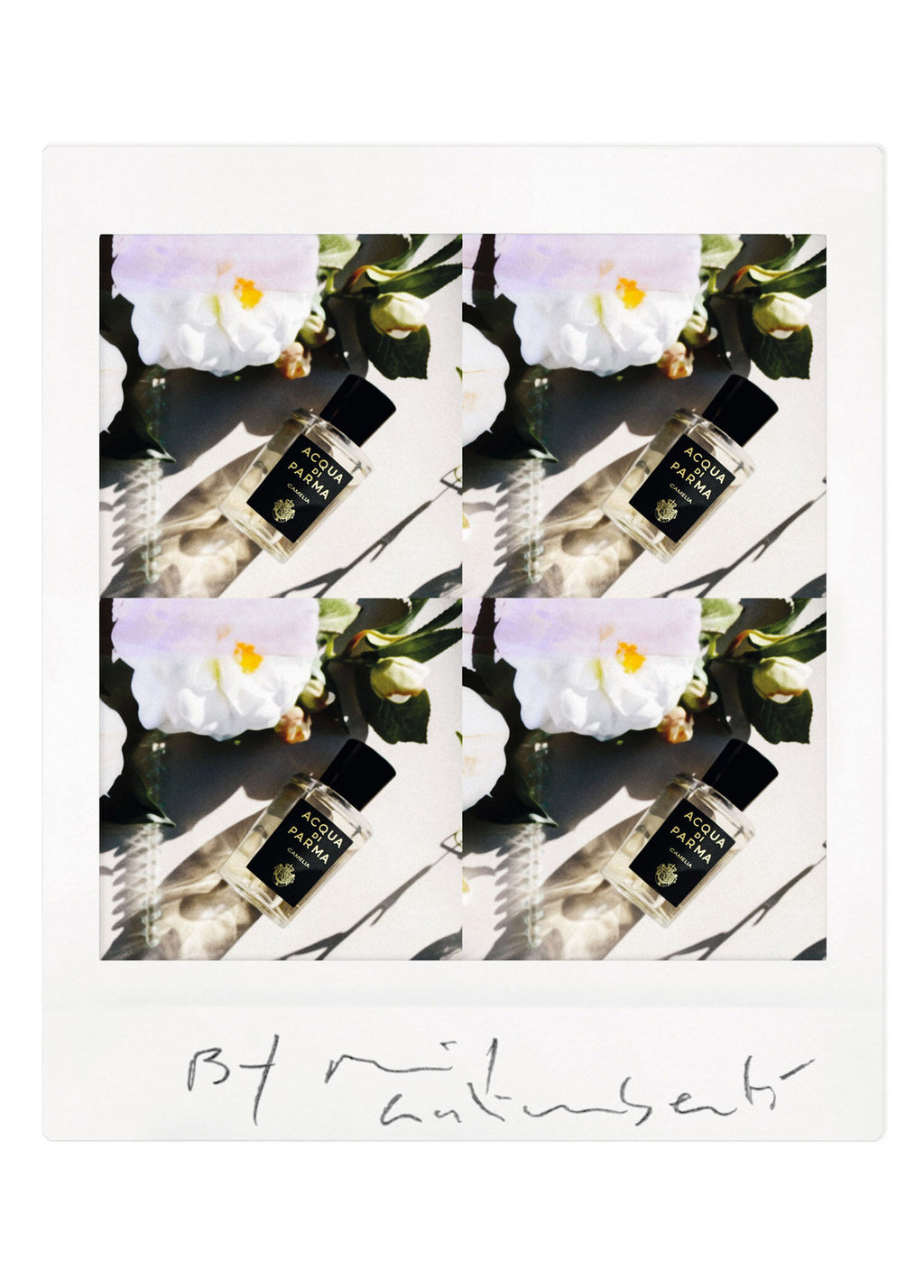 Signature Camelia Edp 180ml