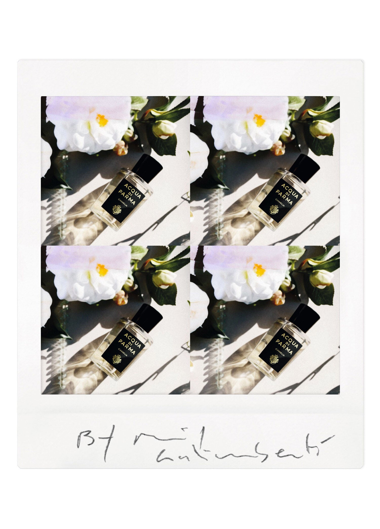 Signature Camelia Edp 180ml