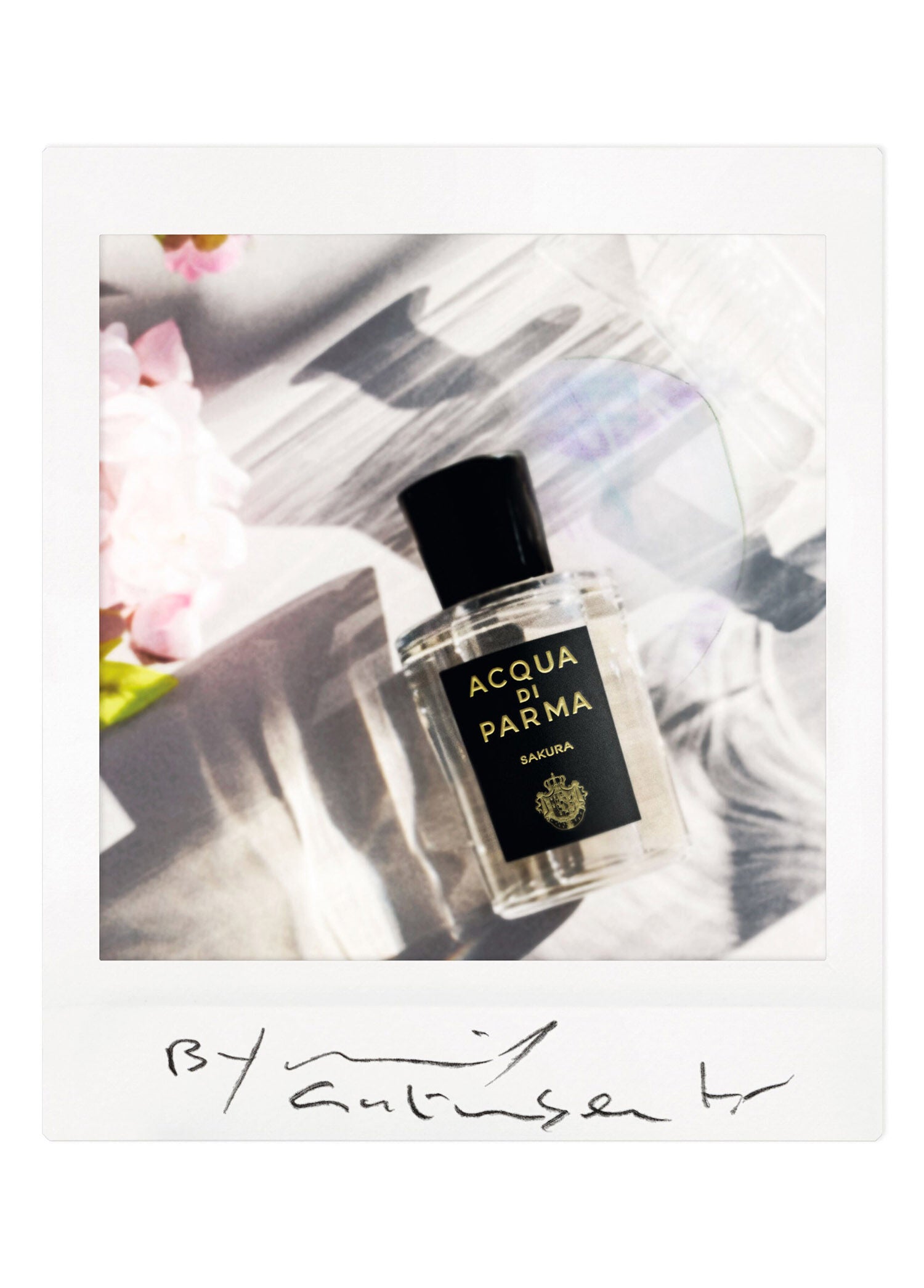 Signature Sakura EDP 100 ml Parfüm